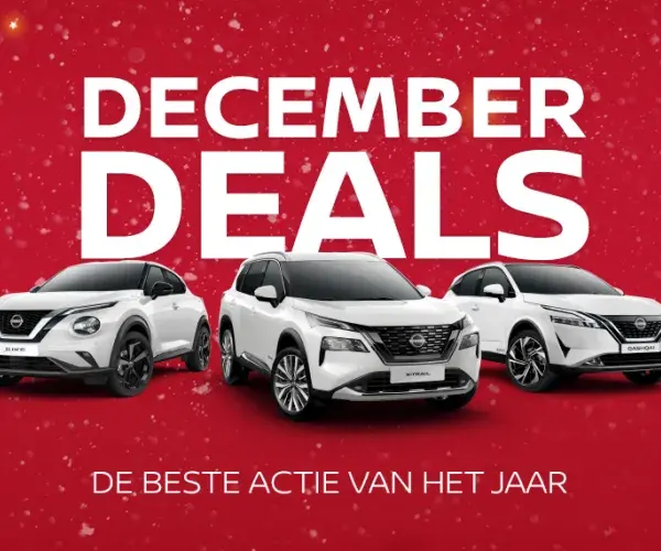 Steza december deals header center